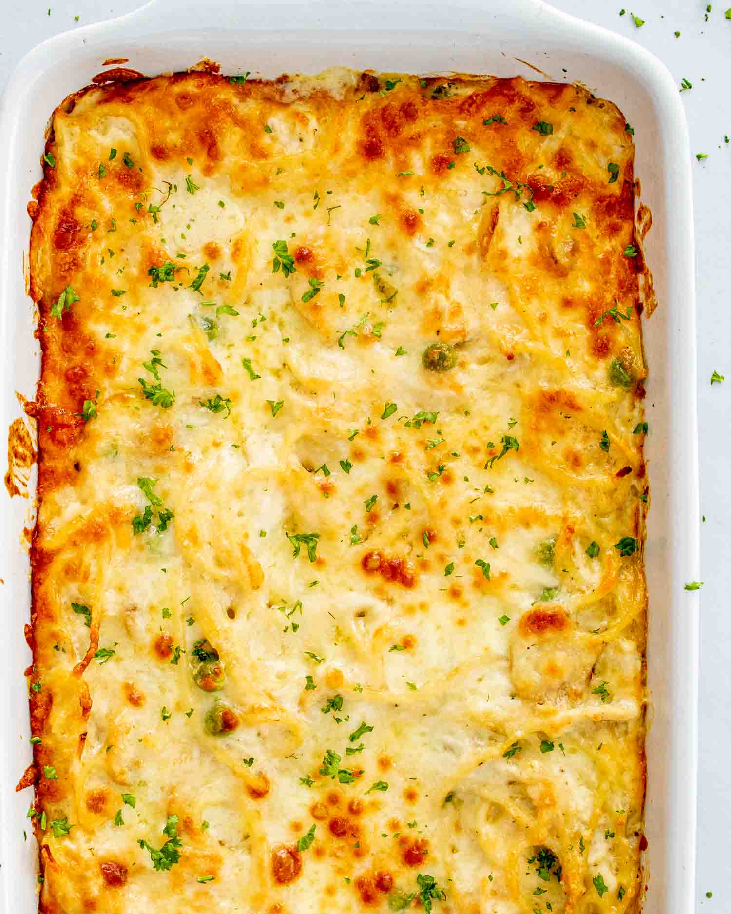 fresh out of the oven chicken tetrazzini in a white casserole dish.