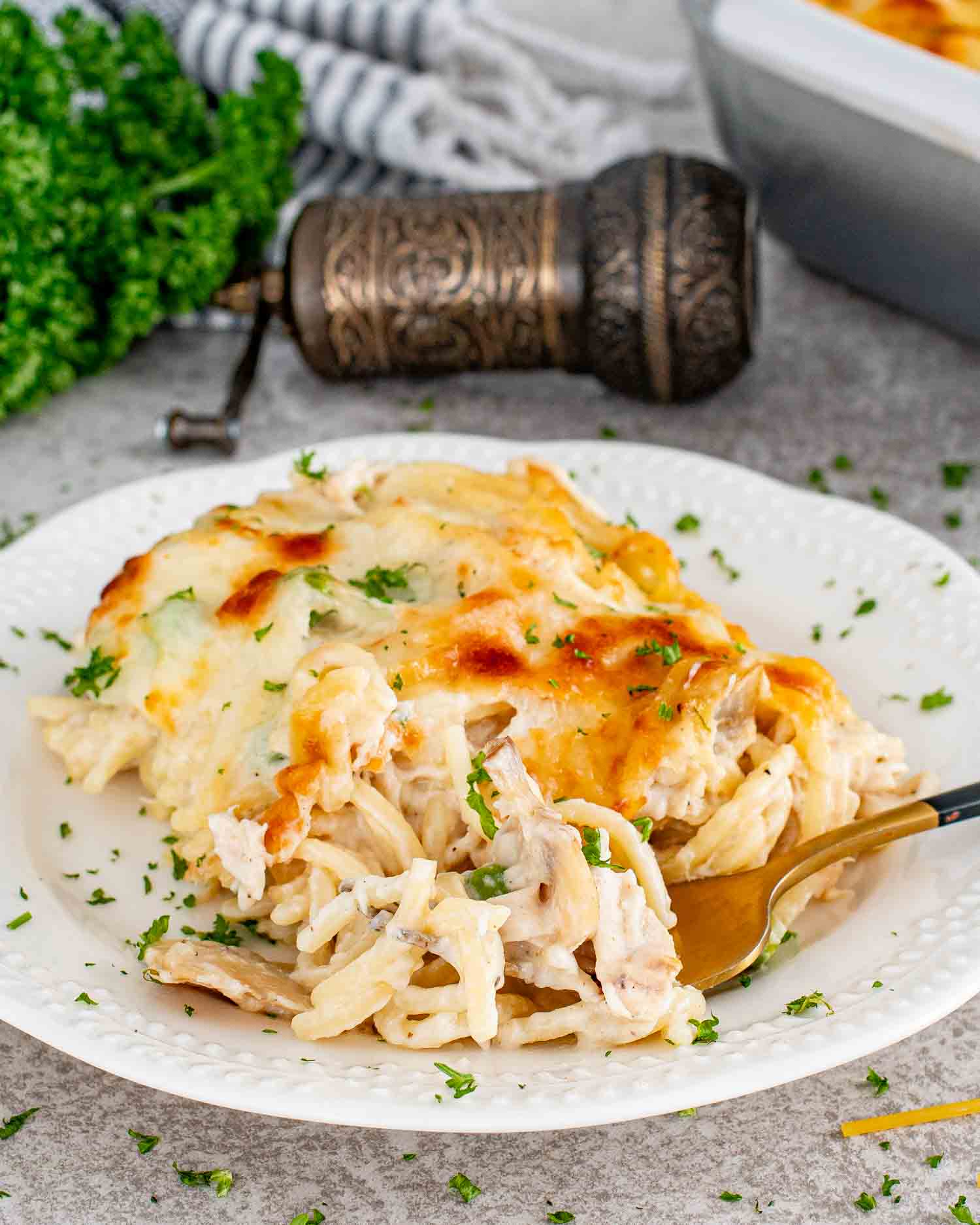 a serving of chicken tetrazzini on a white plate garnished with parsley.