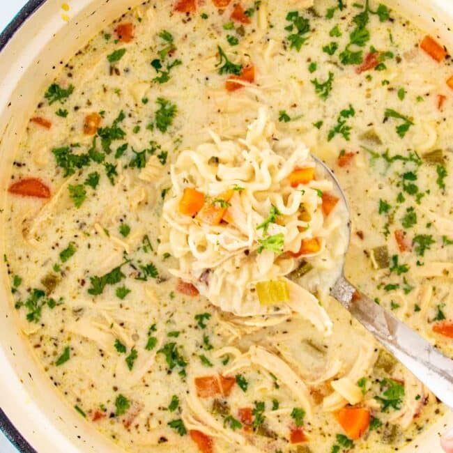 freshly made creamy chicken noodle soup in a dutch oven.