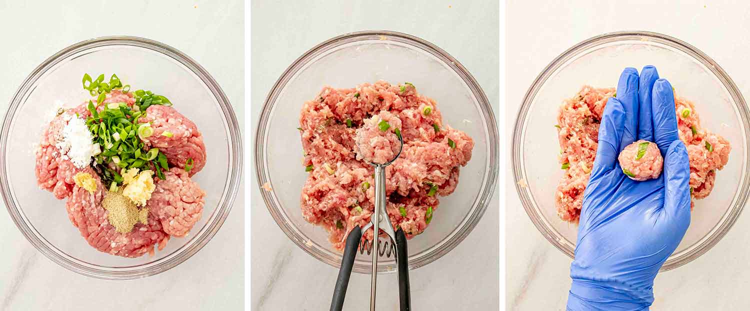 process shots showing how to make deconstructed wonton soup.