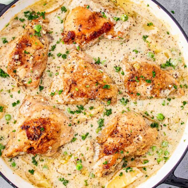 freshly made french chicken casserole in a dutch oven.