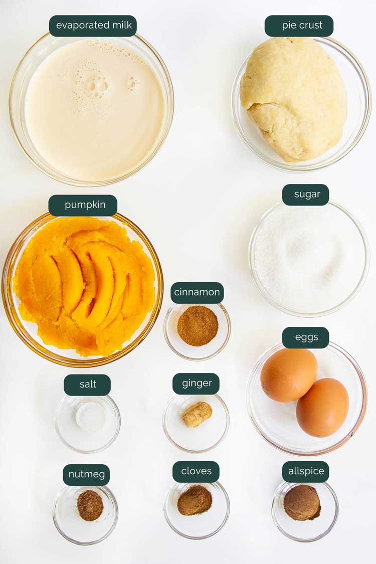 overhead shot of all the ingredients needed to make pumpkin pie