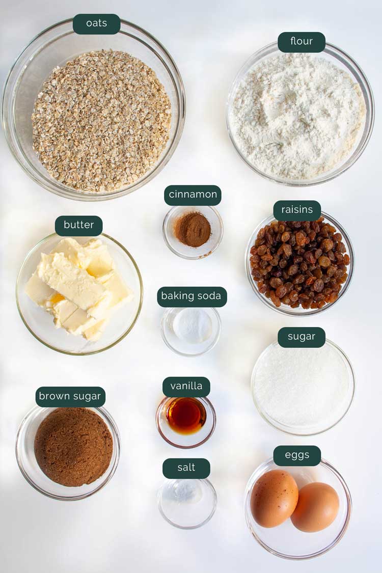 overhead shot of ingredients needed to make oatmeal cookies