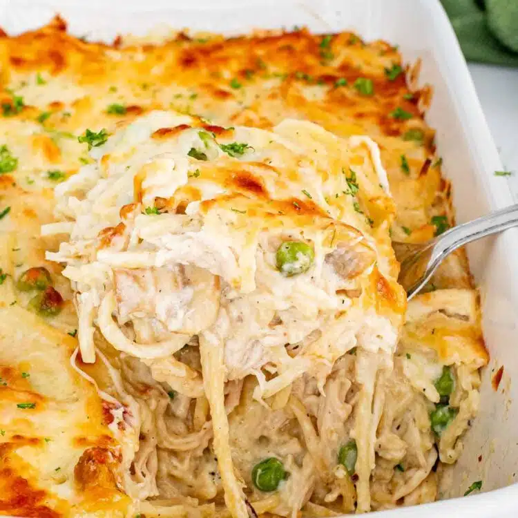fresh out of the oven chicken tetrazzini in a white casserole dish.