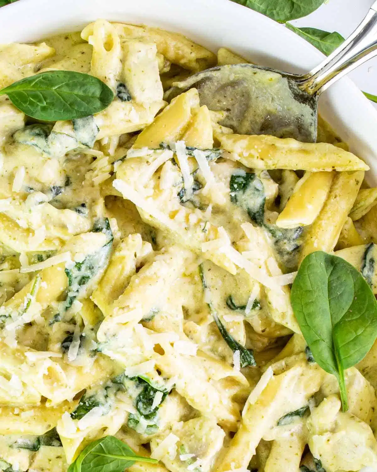 a serving for creamy chicken pasta in a plate garnished with parmesan cheese.