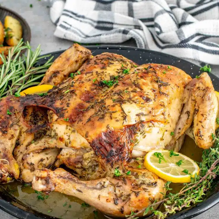 fresh out of the oven lemon garlic spatchcock chicken in a skillet.