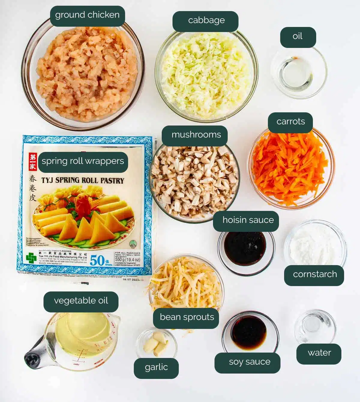 overhead shot of ingredients needed to make spring rolls.